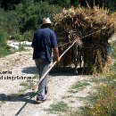 03 Eichmann Heinz Einfuhr der Ernte